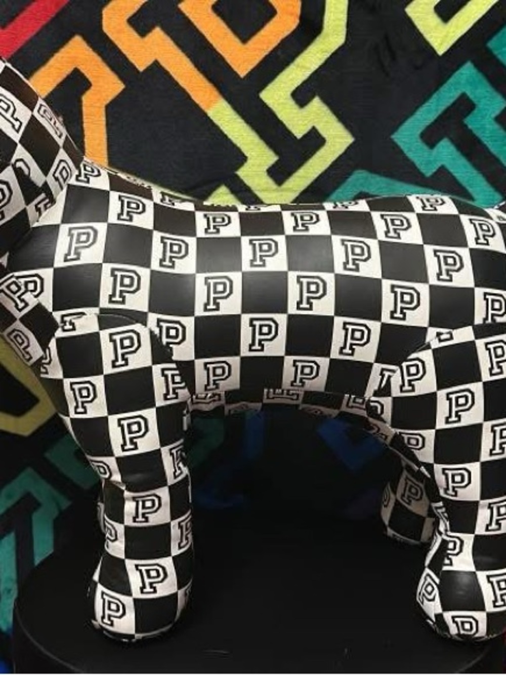Black & White Checkerboard huge fashion show dog
